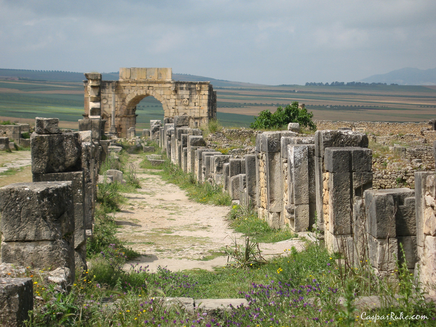 Volubilis